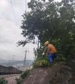 六盘水维管段有力整治水红铁路环境安全隐患