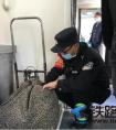 为“东方之约”添彩添力 怀铁乘警倾力服务第三届“进博会”