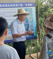 陈积卫到海口防洪堤达标改造工程项目现场检查解难