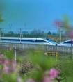 
国家铁路在清明节期间运送5400万乘客