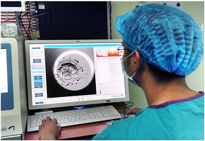 2024泰国试管婴儿成功率案例最新,泰国试管成功概率