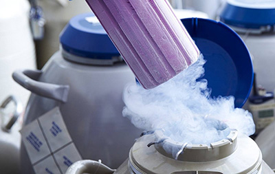 孕期374天流一点液体,怀孕37天流了一点血之后就不流了,而且肚子也疼,怎么办