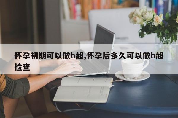 怀孕初期可以做b超,怀孕后多久可以做b超检查